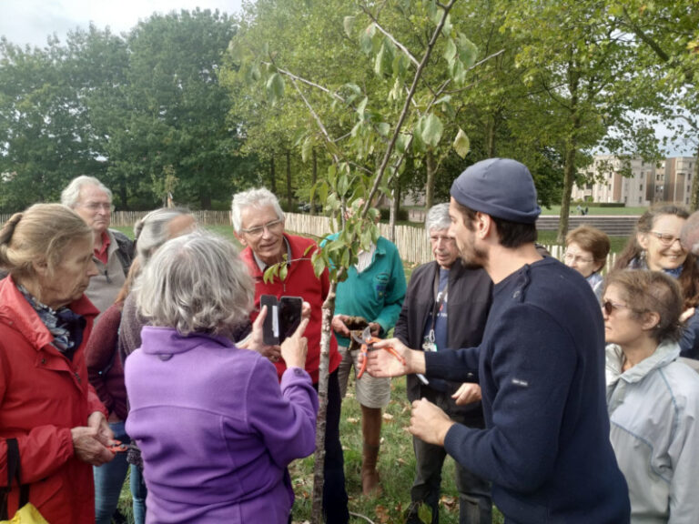 gens autour d un arbre