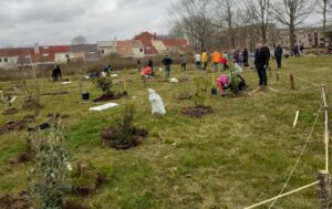Plantations des arbres en cours