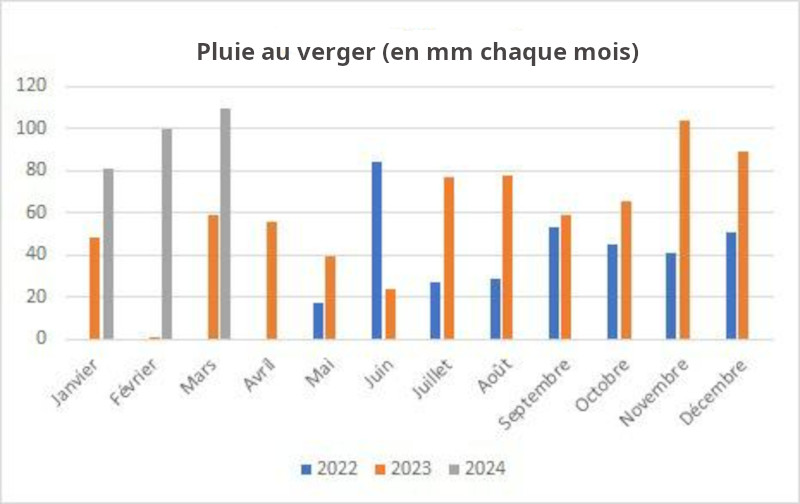 Lire la suite à propos de l’article 16 mars 2024 : le verger dans l’eau !