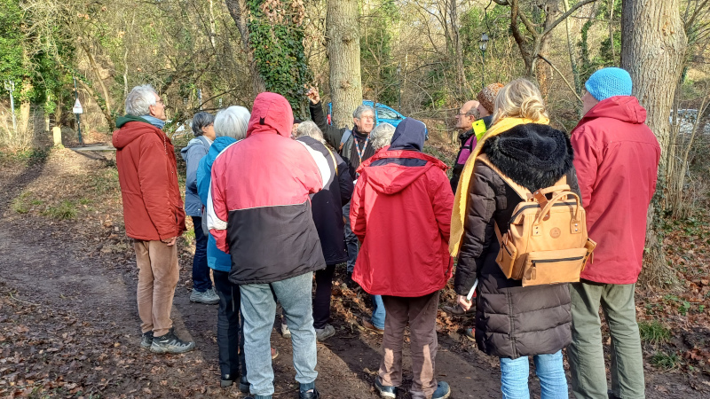 Lire la suite à propos de l’article Les arbres de la forêt – 24 janvier 2026